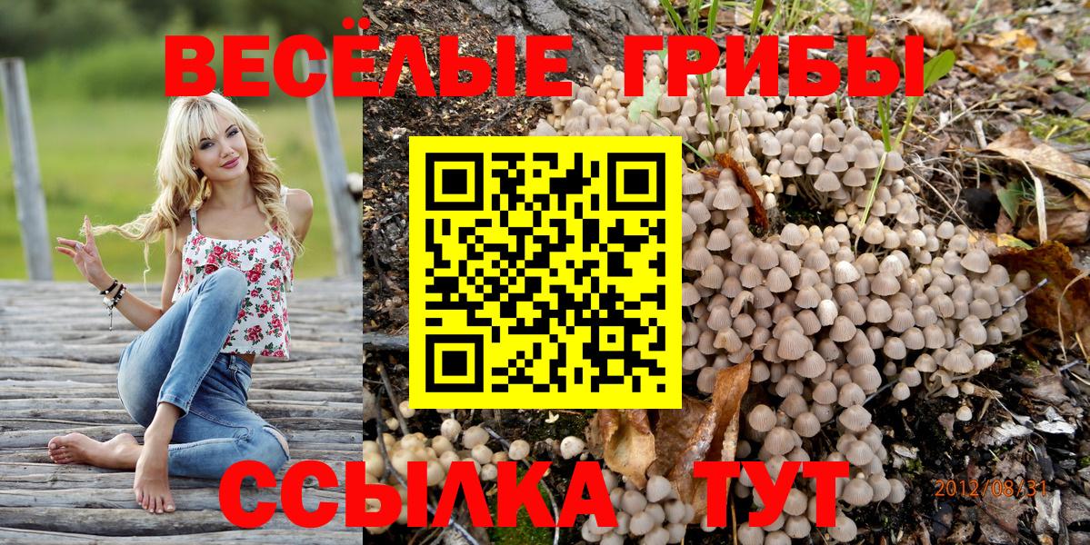 Усть-Джегута  Псилоцибиновые грибы GOLDEN TEACHER  Вход с VPN 